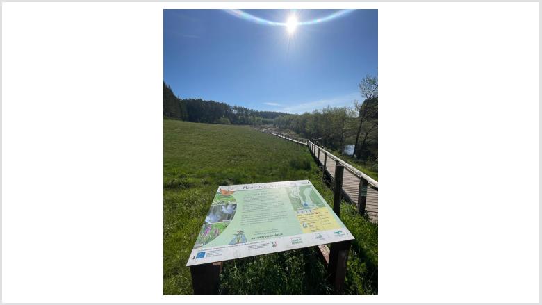 Sommergruss